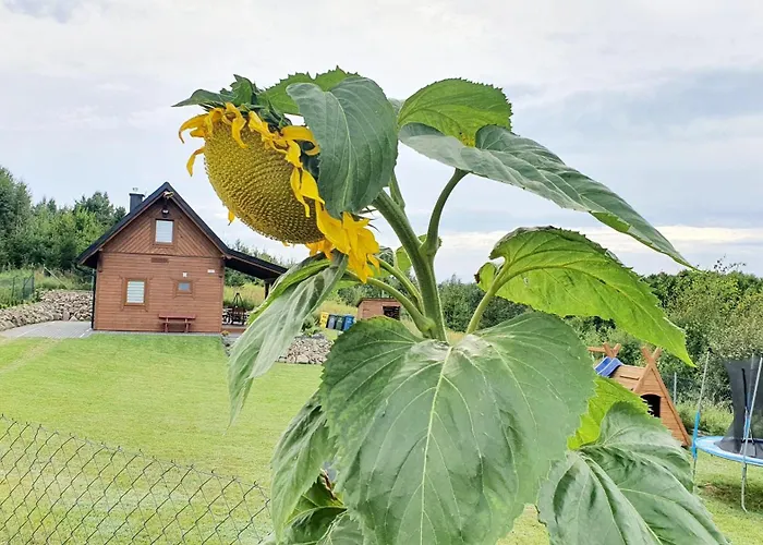 Vakantiehuis Madzia *